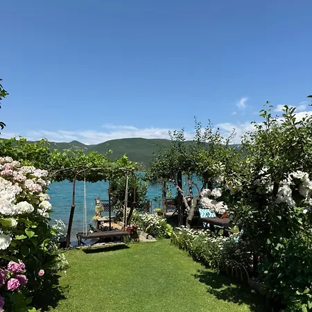 Guest House Lin Πανσιόν