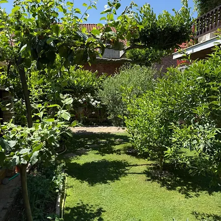 Guest House Lin Pensionat 3*