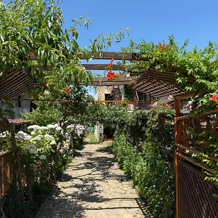 Guest House Lin Penzion Lini