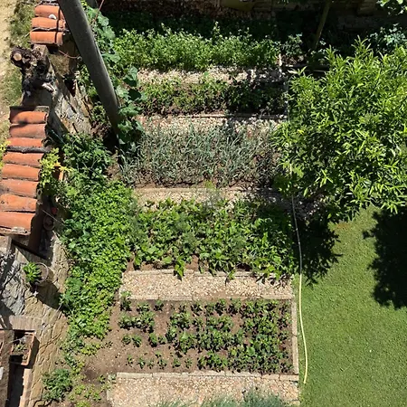 Πανσιόν Guest House Lin Lini