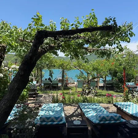 Guest House Lin