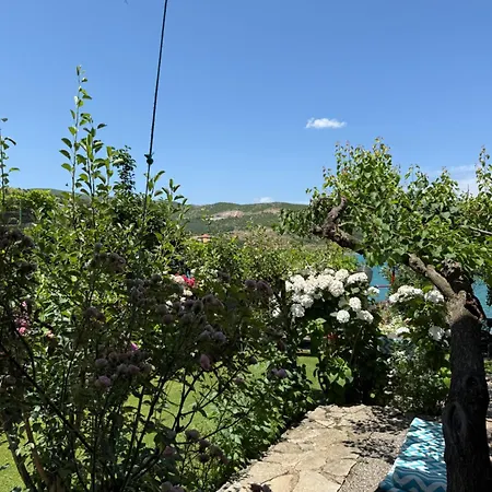 Guest House Lin Pensionat