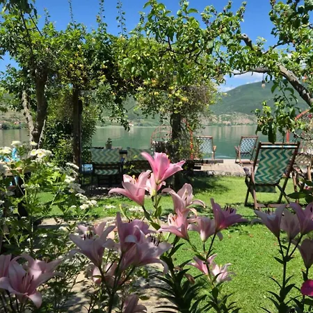 Guest House Lin 3* Lini