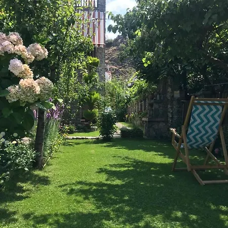 Guest House Lin Pensión 3*