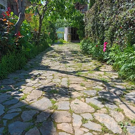 Guest House Lin 3* Lini