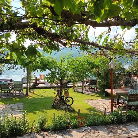 Guest House Lin Lini