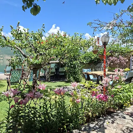 Guest House Lin 3* Lini