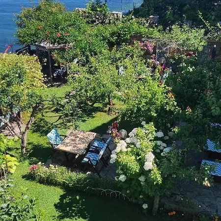 Guest House Lin 3* Lini