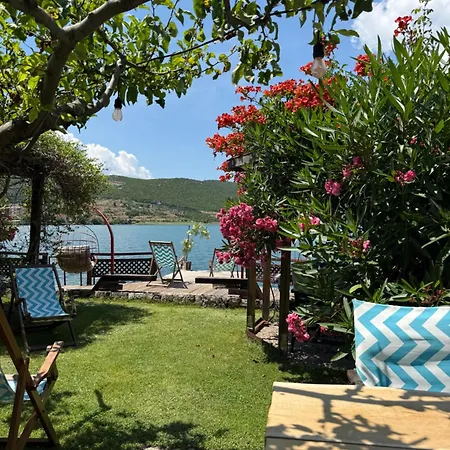Guest House Lin Penzion