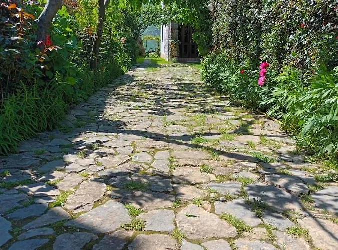 Guest House Lin 3* Lini