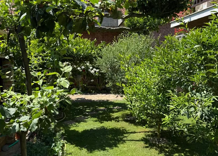 Guest House Lin Affittacamere 3*